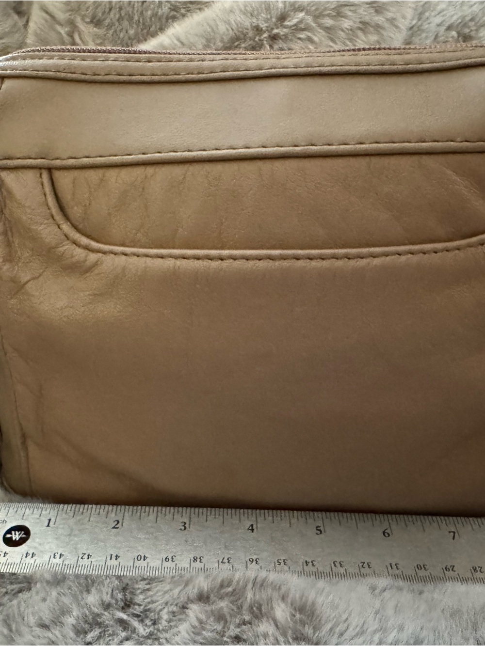 Toni Vintage Taupe Leather Crossbody Camera Bag Organizer Gold Tassel Accent